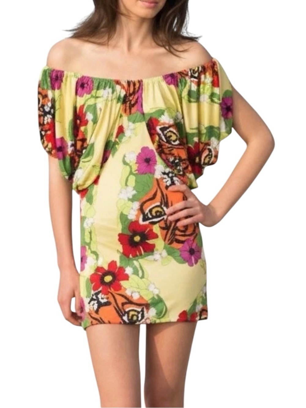 Mara Hoffman Silk Tiger Print Dress